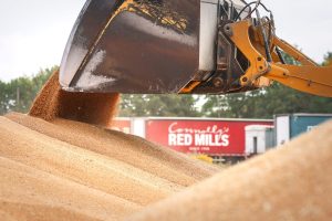 redmills NAD 6676